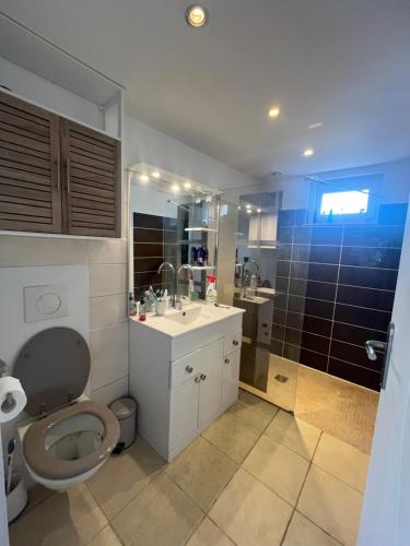 une salle de bain avec toilettes, lavabo et miroir dans l'établissement L'Horizon du Beffroi, à Millau