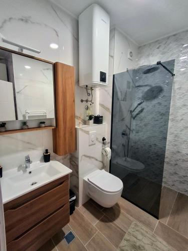 a bathroom with a shower and a toilet and a sink at Apartment Alina Istocno Sarajevo with private garage Lukavica in Lukavica