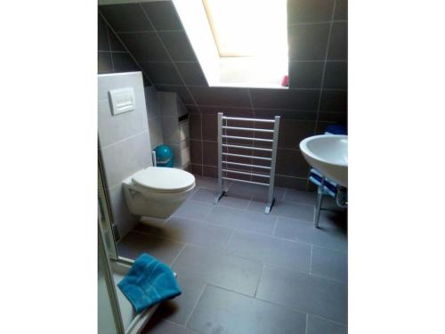 a bathroom with a toilet and a sink at 1-bedroom apartment in Putgarten