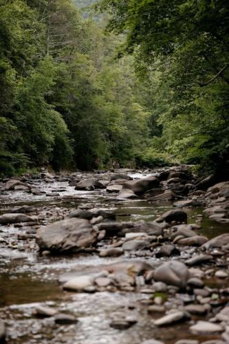 a stream of water with rocks and trees at The Bend Micro Resort in Phoenicia