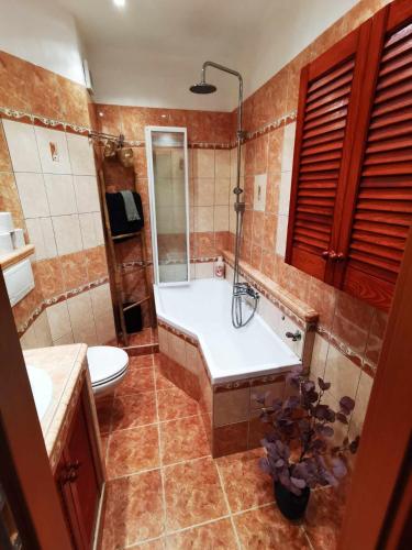 a bathroom with a tub and a toilet and a sink at The View Appartment in Český Krumlov