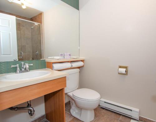 a bathroom with a toilet and a sink at Hotel Dorion in Montréal