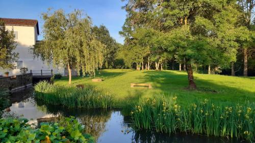 a garden with a pond and trees and grass at Moulin De La Parenthèse in Sommières-du-Clain