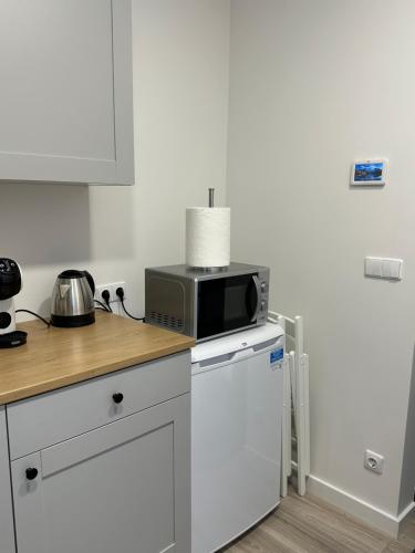 a kitchen with a microwave on top of a refrigerator at Užupio apartamentai Nemokamas parkingas in Vilnius