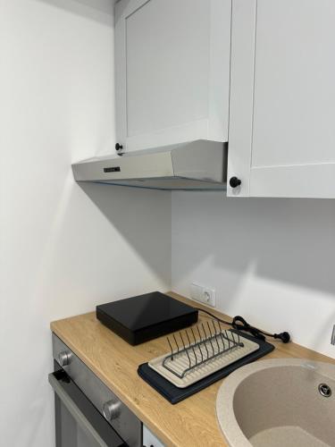 a kitchen counter with a sink and a microwave at Užupio apartamentai Nemokamas parkingas in Vilnius