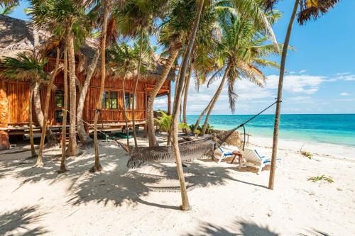 a hammock on a beach with palm trees at Amazing ECO Palapa at Private Beach in Sian Kaan. in Tulum