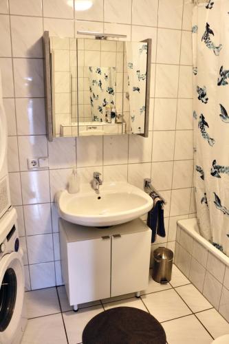 a bathroom with a sink and a washing machine at Wonderful Renovated Apartment With Great Location in Kaiserslautern