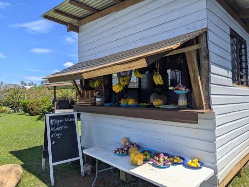 a fruit stand with fruits and vegetables on a table at Raintree Gardens - 1 Acre, Ocean Views, Steps from beach in Matei