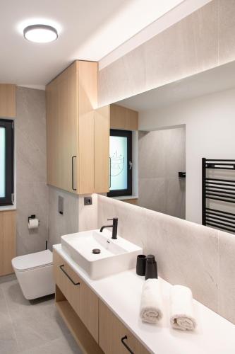 a bathroom with a sink and a toilet at ArkWood Colibita in Colibiţa