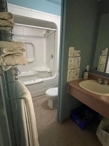 a bathroom with a toilet and a sink at Earlton Motel in Earlton