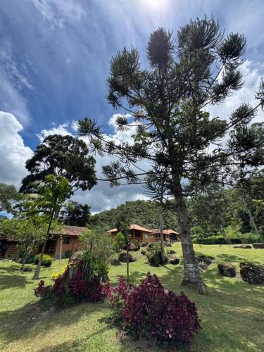 a tree in a field with a house in the background at Chalés Das Estrelas in Visconde De Maua