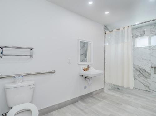 a white bathroom with a toilet and a shower at Alameda Motel San Jose in San Jose