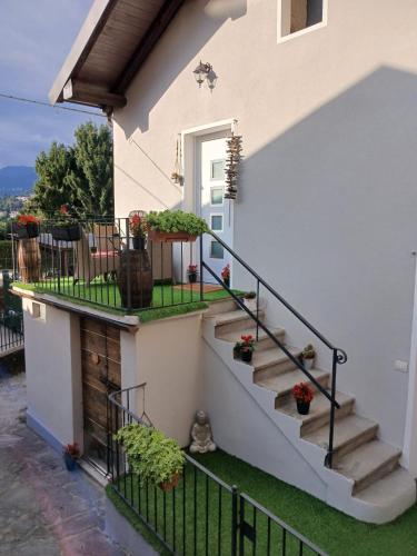 a house with a staircase with potted plants on it at Lucia's Wood House in Intra
