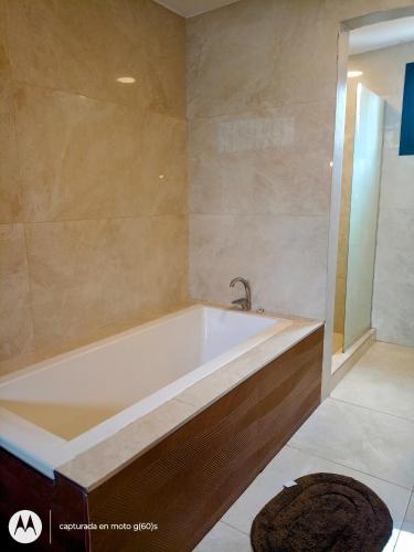 a bathroom with a bath tub with a shower at La Hijuela in El manzano historico