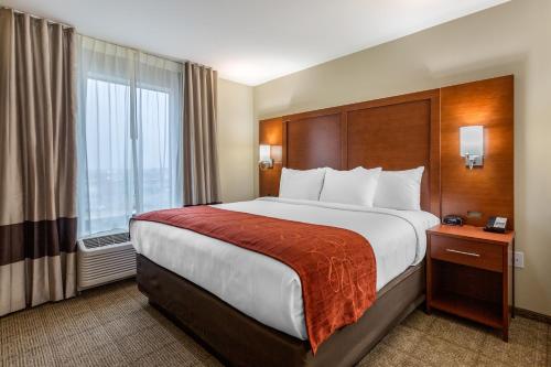 a hotel room with a large bed and a window at Comfort Suites Bowling Green Southeast in Bowling Green