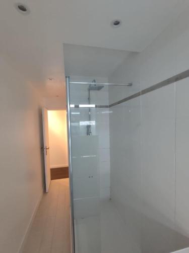 La salle de bains est pourvue d'une porte de douche en verre et d'un couloir. dans l'établissement Appartement 3 chambres, à Brest