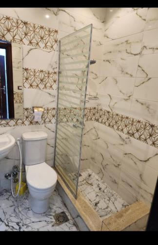 a bathroom with a toilet and a glass shower at s5tar hotel rooms in front of Mansoura University in Mît Khamîs