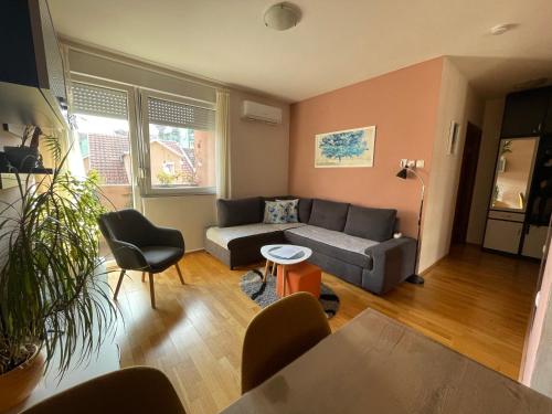 un salon avec un canapé et une table dans l'établissement Apartman Oaza, à Novi Sad