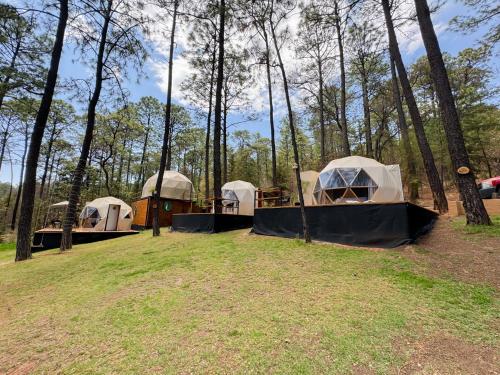 a group of tents in a field with trees at Luahara Glamping Tapalpa - Domo Natural Experience in Tapalpa