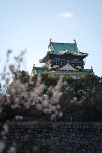 a building on top of a wall with a tree at KAMON relaxing, Japanese spacious room in Osaka