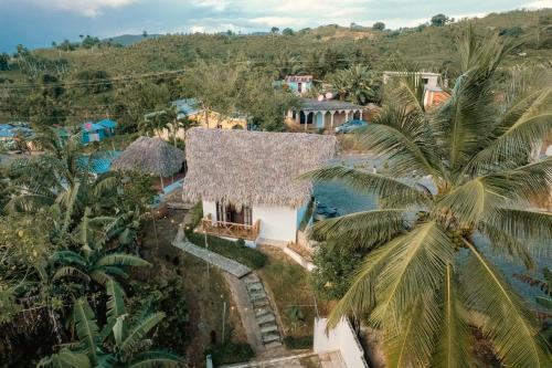 an aerial view of a house with a palm tree at Villa Tierrita in Santa Bárbara de Samaná