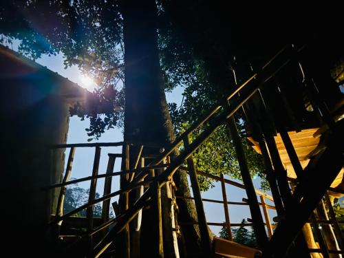 Fotografie z fotogalerie ubytování AVA tree house v destinaci Deniyaya