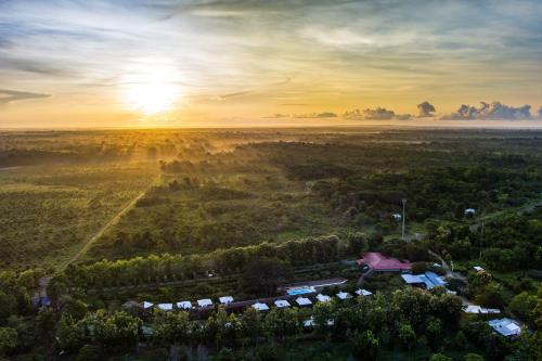 an aerial view of a farm with the sunset in the background at Tropical Magnolia in Hellgate