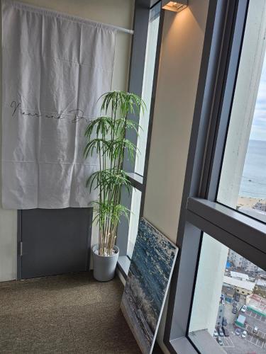 a plant sitting next to a window with a curtain at Haeundae La Mer in Busan