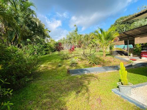 un jardín con palmeras y plantas en un patio en Fun Bus Vacation home, en Puntarenas