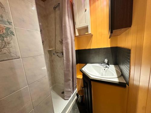 une salle de bain avec un lavabo et une douche dans l'établissement Appartement cosy au cœur de Villard-de-Lans, 3 pers, balcon - FR-1-515-223, à Villard-de-Lans