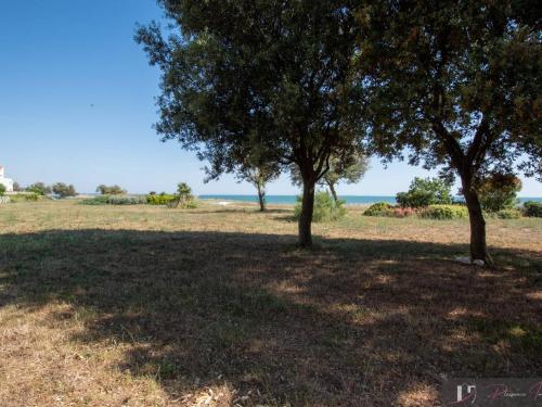 Photo de la galerie de l'établissement Studio 4 couchages avec terrasse en bord de mer - FR-1-825-25, à La Rochelle