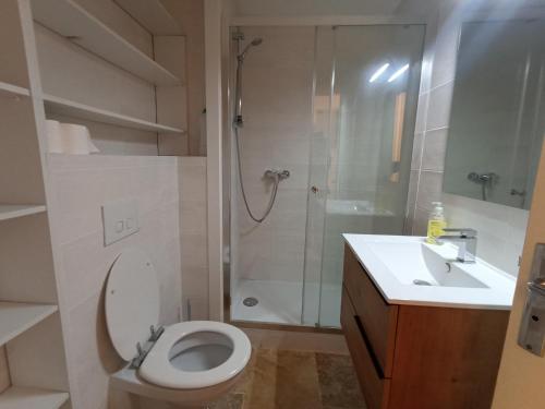 une salle de bain avec une douche, des toilettes et un lavabo dans l'établissement Studio rénové front de mer avec climatisation et animaux admis, idéal pour 2 personnes à Sète - FR-1-338-606, à Sète