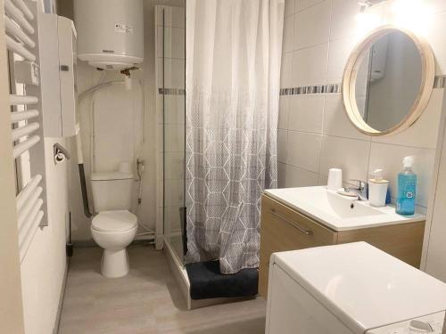 un bagno con un water, un lavandino e uno specchio di Studio ensoleillé en centre-ville, animaux admis - FR-1-703-206 ad Amélie-les-Bains-Palalda