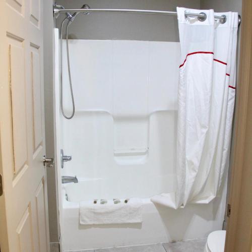 a bathroom with a shower curtain and a toilet at Red Roof Inn & Suites Lake Orion / Auburn Hills in Lake Orion