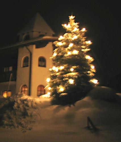 a christmas tree in the snow in front of a building at Wellness Ferienwohnungen Zellertalblick in Drachselsried