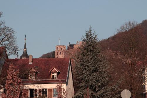 an old building with a castle in the background at Altstadtblick in Heidelberg