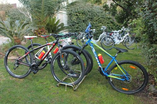 two bikes parked next to each other on the grass at Il Giardino di Valentina in Escolca