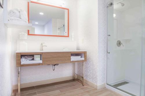 a bathroom with a sink and a mirror and a shower at Hampton Inn Baton Rouge - Denham Springs in Denham Springs