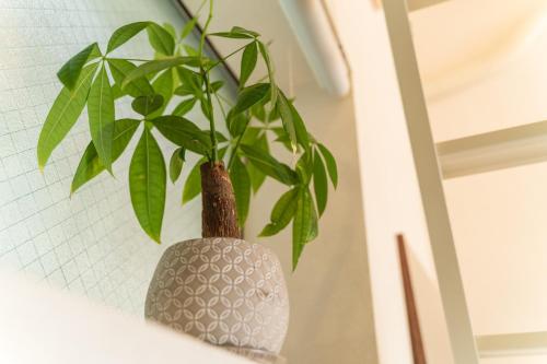 a plant in a vase hanging on a wall at Flower Base Lily House - Vacation STAY 57830v in Fukuoka