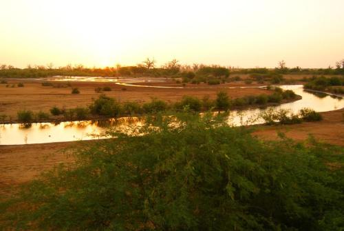 a river in the middle of a field at Le Lodge Dalaal Diam in Somone