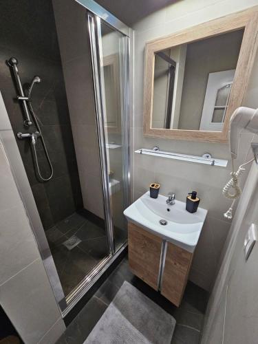 a bathroom with a shower and a white sink at Apartmán Filip wellness,krytý bazén in Tatranska Strba