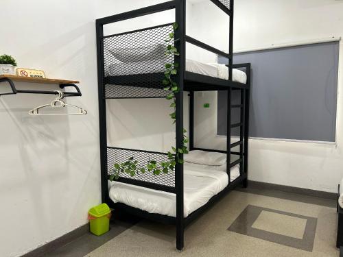- un lit superposé noir avec des plantes dans l'établissement Warm Stay No10 Boutique Residence House 7B7B by Verve, à Ipoh