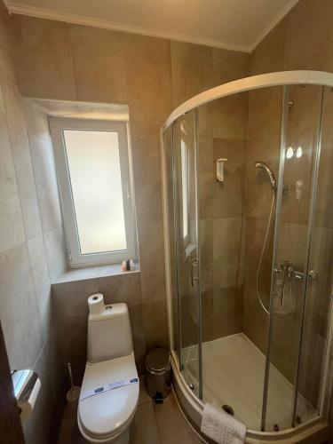 a bathroom with a shower and a toilet and a window at Garni Hotel TIANIS in Kotor