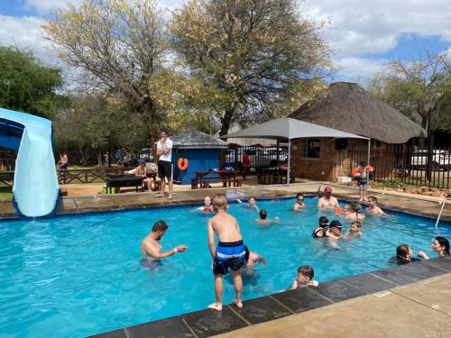a group of people in a swimming pool at Coga Cottage - Marloth Park in Marloth Park