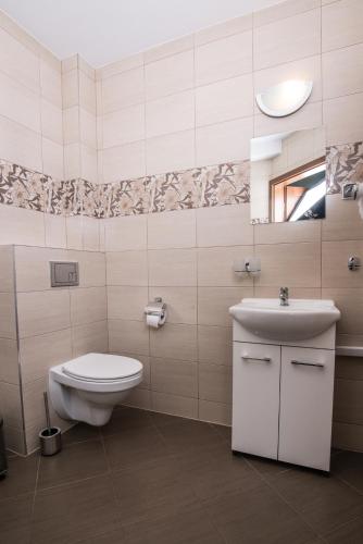 a bathroom with a toilet and a sink and a mirror at Marina Wolin in Wolin