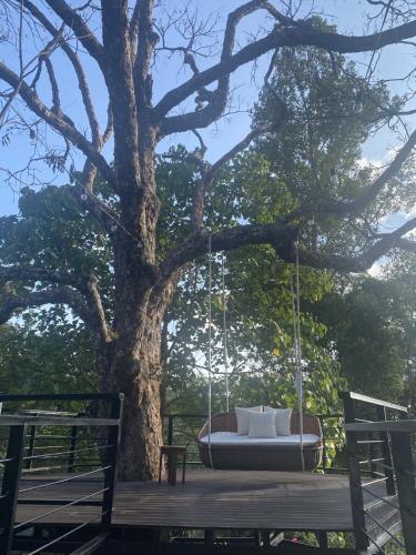 a swing hanging from a tree on a deck at บ้านเคียงธาร โฮมสเตย์ แม่แมะ Cascade Lodge in Amphoe Chiang Dao