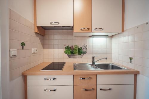 a small kitchen with a sink and a counter at Seeappartements Leitner in St. Wolfgang