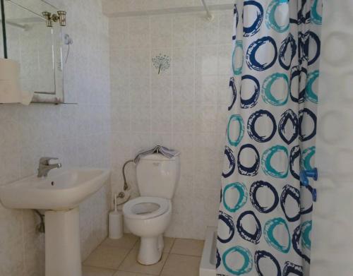 卡拉马塔Sunny Apartments - Tolis 2oς的浴室设有卫生间、水槽和淋浴帘