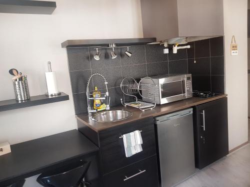 une petite cuisine avec un évier et un micro-ondes dans l'établissement Charmant studio au cœur de Dijon, à Dijon