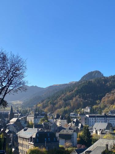une vue d'une ville avec des montagnes en arrière-plan dans l'établissement Maison les papillons, à Le Mont-Dore